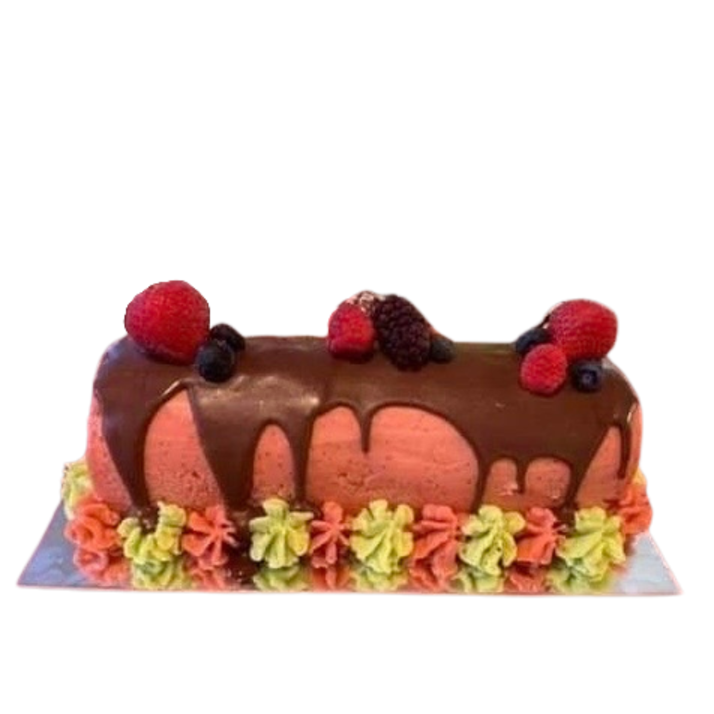 Bûche Sorbets (Sans Gluten)